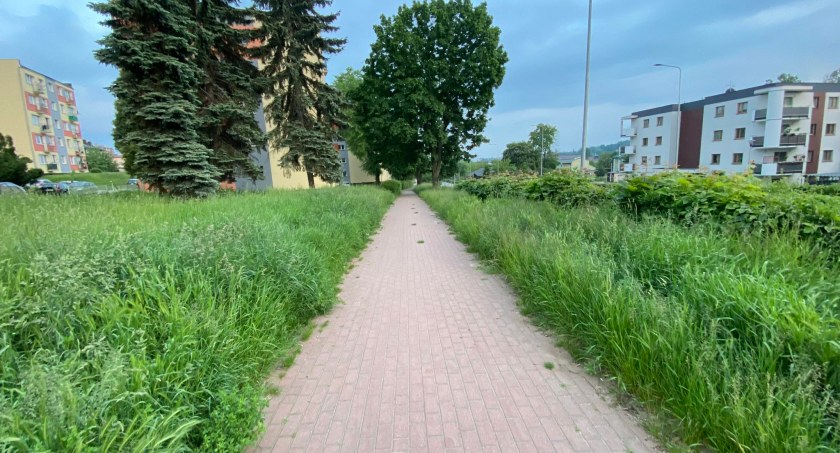 Miasto zielskiem zarasta...
