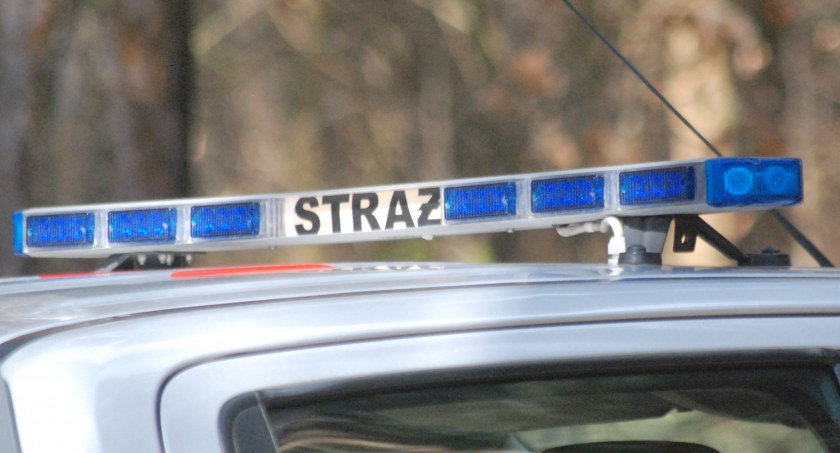 Bezzałogowy statek powietrzny na drzewie. Potrzebna była interwencja strażaków