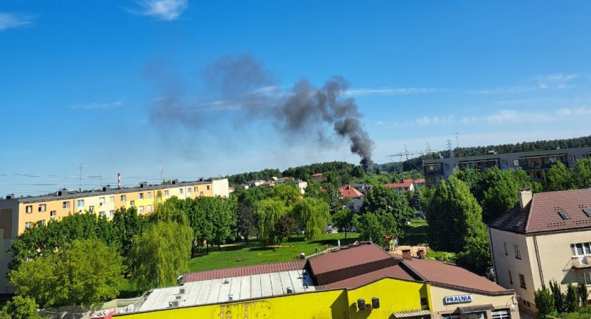 Pożar w Starachowicach. Altana spłonęła doszczętnie