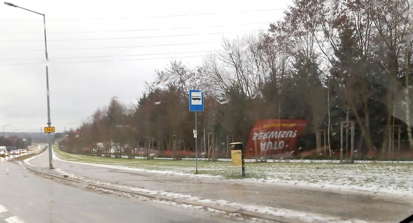 Drzewa nie odrosły - tylko uschły!