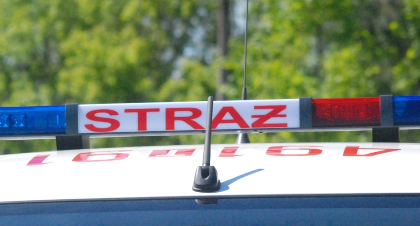 Pożar lasu w Adamowie. Trzy strażackie zastępy w akcji