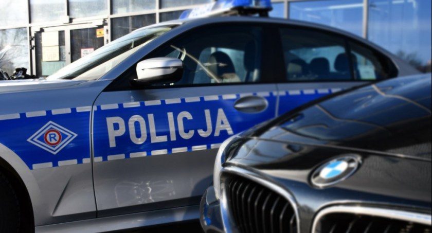 Kolizja na trasie Styków – Kałków. Dzikie zwierzę przed maską auta