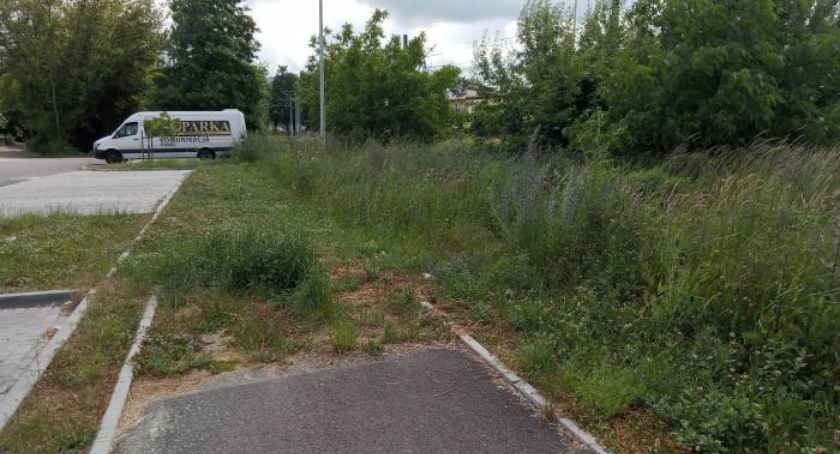 Starachowice Wschodnie, dokąd ta ścieżka prowadzi?