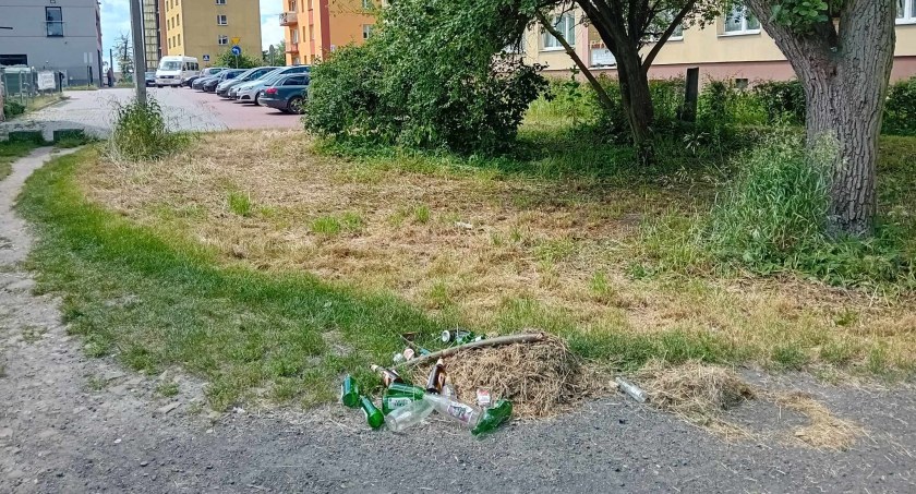Zachwaszczone = zaśmiecone miasto