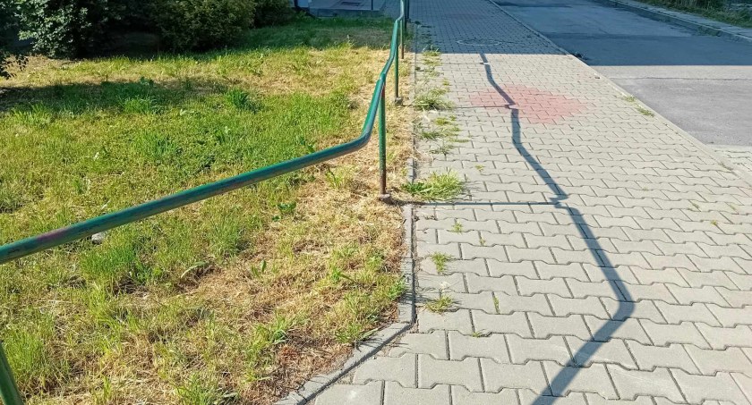 Szkodliwe opryski na osiedlach w Starachowicach?