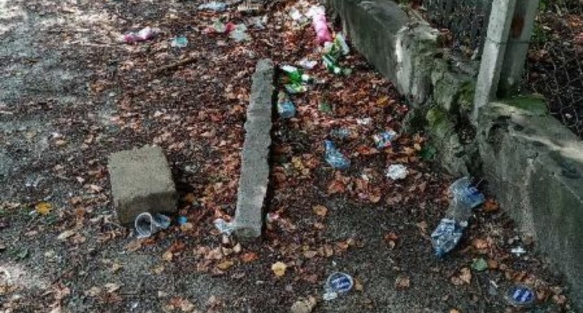 Czytelnicy interweniują w sprawie porządku na Skalistej w Starachowicach