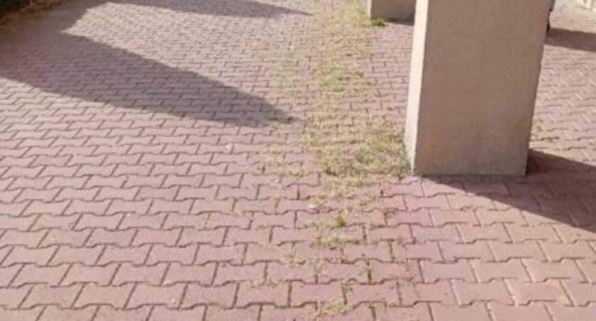 Czystość w Starachowicach budzi zastrzeżenia