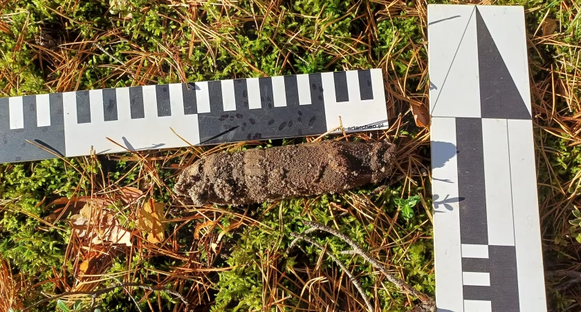 Historyczne odkrycie na terenie gminy Wąchock. W akcji policja i Grupa Ochrony Zabytków Fort