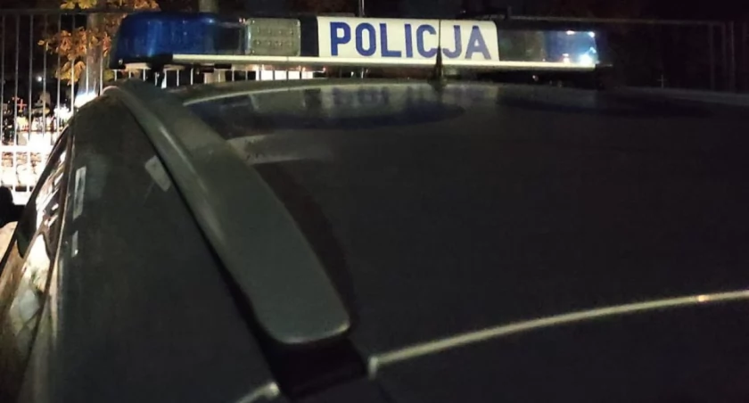 Wypadek w Parszowie. Zderzenie samochodu z dzikim zwierzęciem