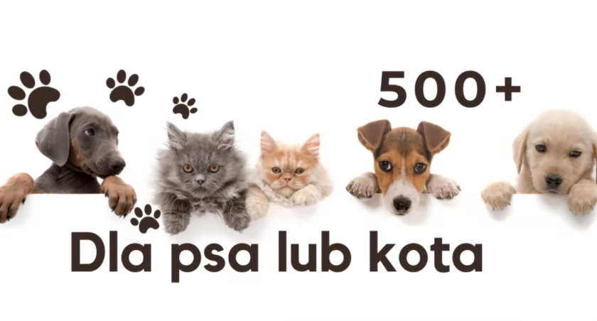 Program 500 plus na psa i kota?