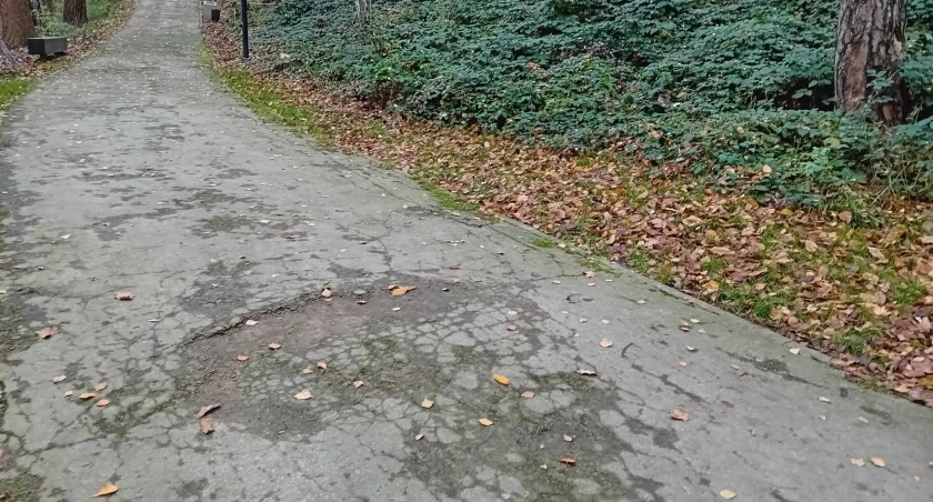 Popękane alejki i droga pielęgnacja zieleni w Parku Miejskim w Starachowicach