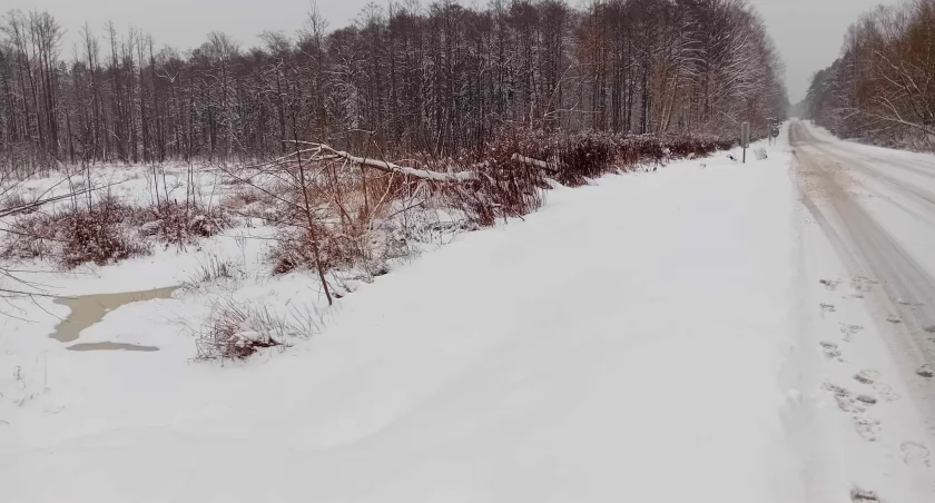 Ścieżka rowerowa do Lipia, prosto do... wody