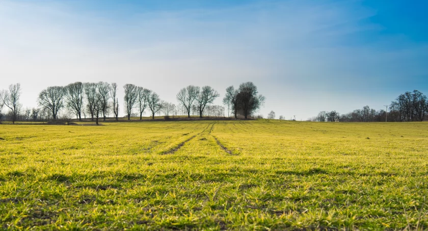 Zasiedzenie nieruchomości - sprawdź co warto wiedzieć 