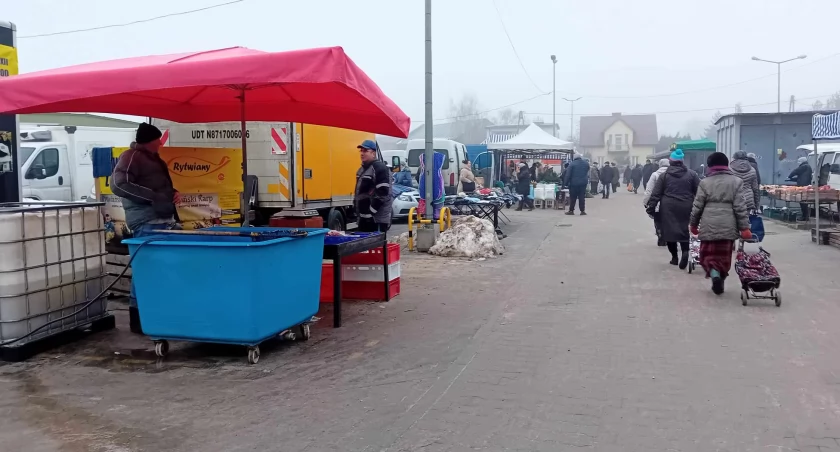 Karp na wigilię musi być - jakie ceny w Starachowicach w tym roku?