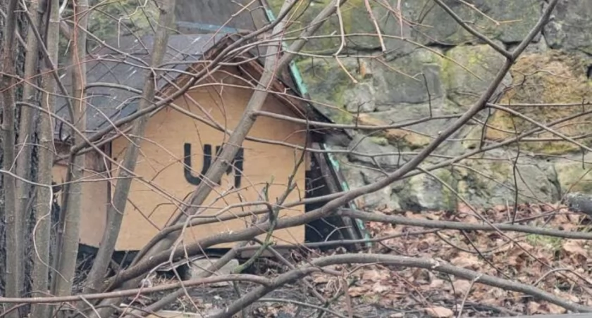 Koty w Starachowicach też mają schronienie