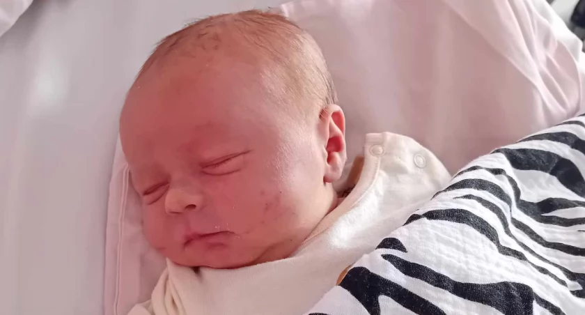 ALAN przyszedł na świat 10 stycznia