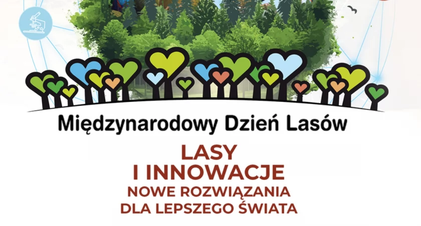 Dziś Międzynarodowy Dzień Lasów. Zobacz, co zaplanowano w twojej okolicy
