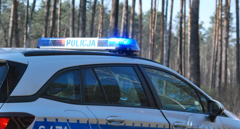 Narkotykowa wpadka 37-letniego mężczyzny. Trafił do KPP Starachowice