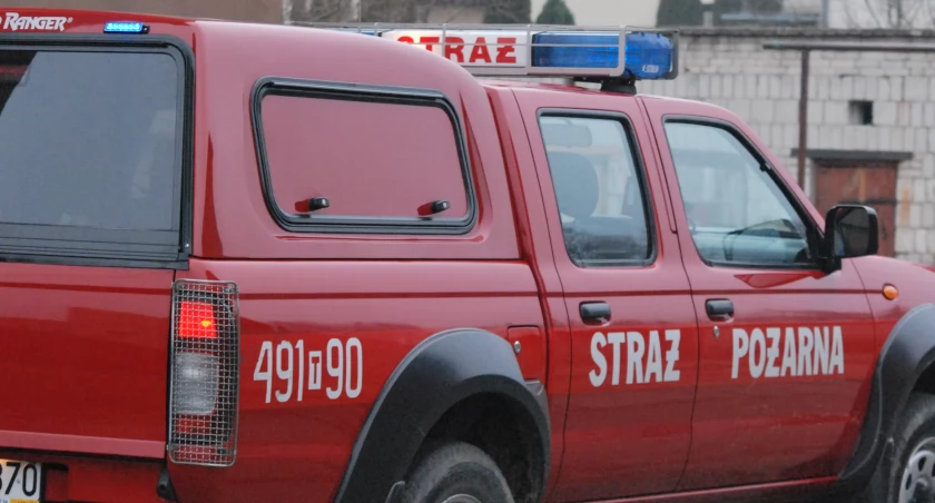 Pożar w Starachowicach. Kto podpalił słomianego misia?