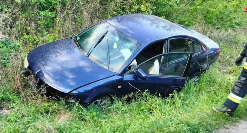 Kraksa w Nietulisku Dużym. Kierowcą pijany mężczyzna z powiatu starachowickiego [ZDJĘCIA]
