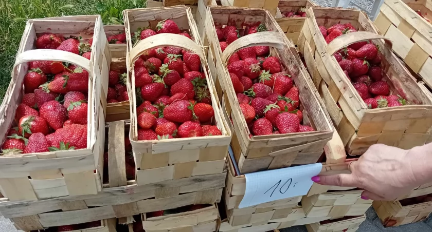 Sezon na truskawki w pełni. Co z ceną? Gdzie najlepsze w mieście?