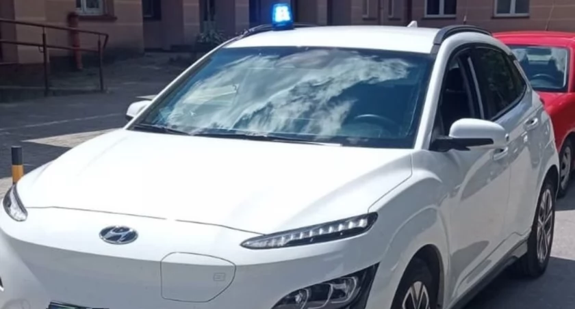 17-latek ukąszony przez szerszenia. Policja eskortowała go do szpitala