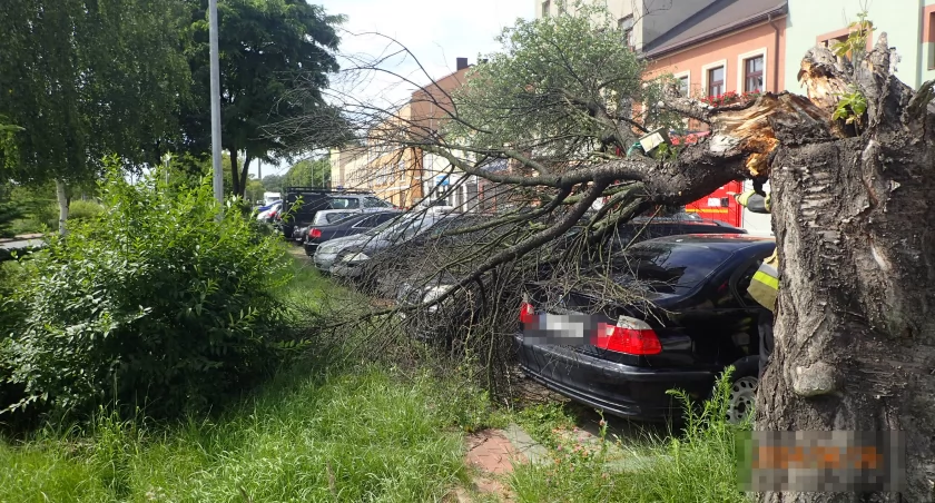 Powalone drzewo uszkodziło dwa samochody w Starachowicach. To cud, że nikogo nie było w środku