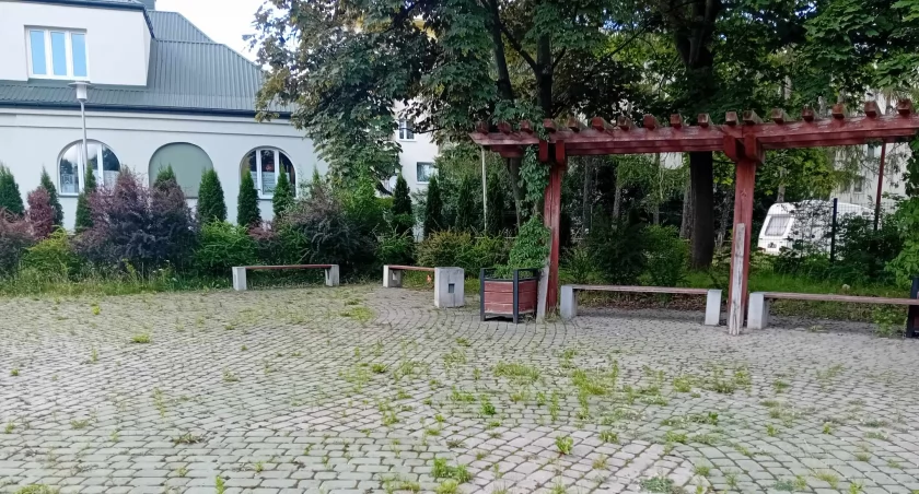 Z cyklu pozarastne Starachowice. Skwer koło Hufca zarasta zielskiem 