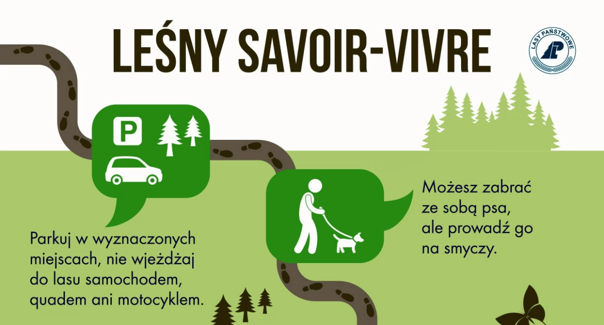 Lasy naszym wspólnym dobrem. Jak o nie dbać?