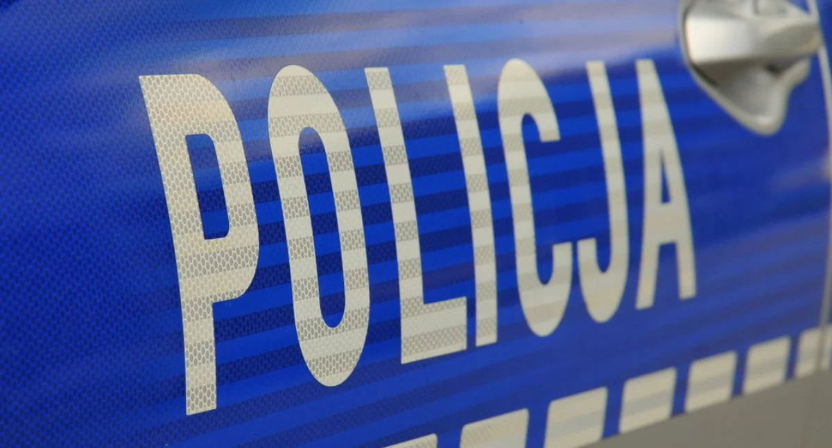 Byk zaatakował mężczyznę w Tarczku. 76-latek trafił do szpitala