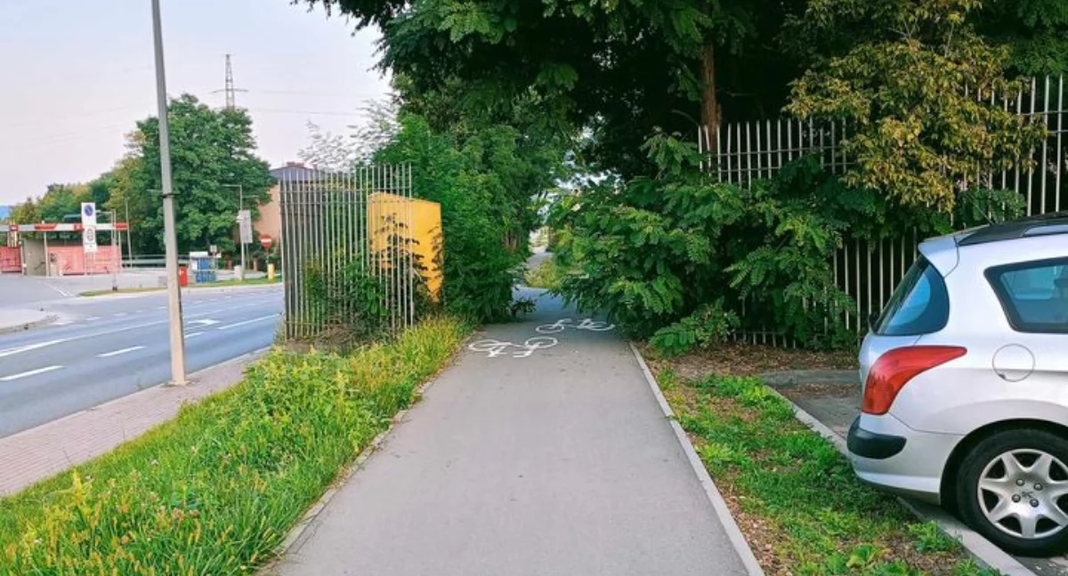 Z cyklu zarośnięte Starachowice: ani przejść, ani przejechać!