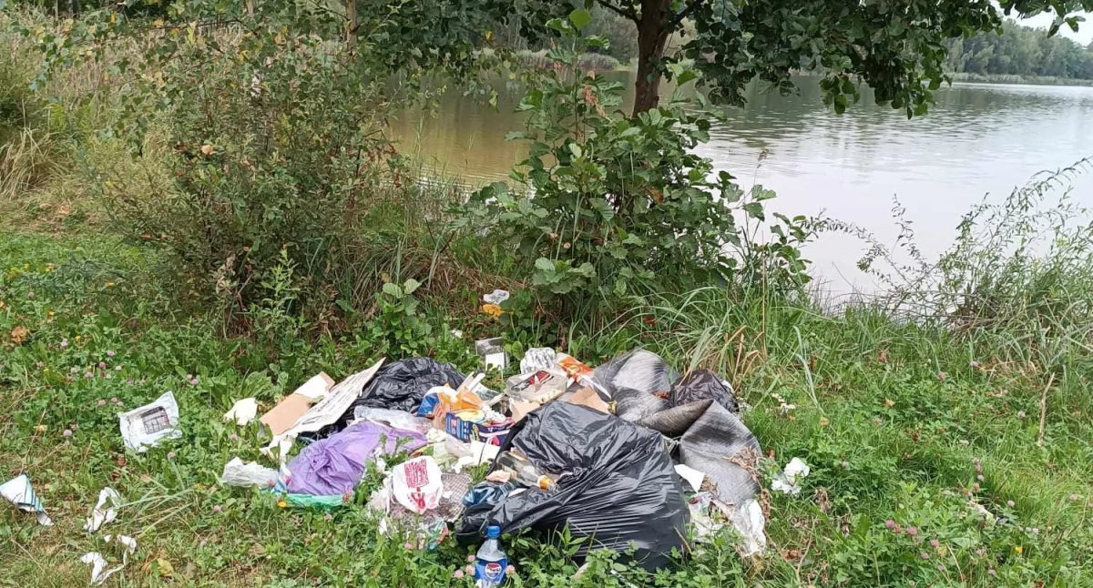 Dzikie kąpielisko i prywatny śmietnik na Piachach?