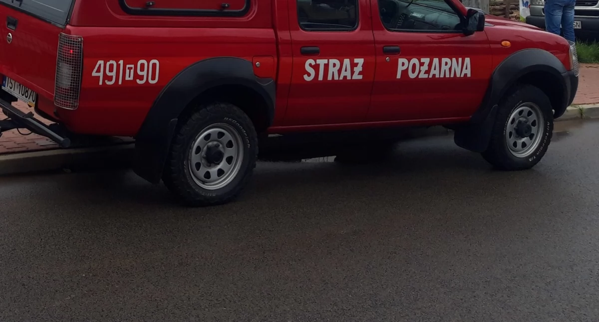 Pożar na terenie gminy Mirzec. Nieużytki w ogniu