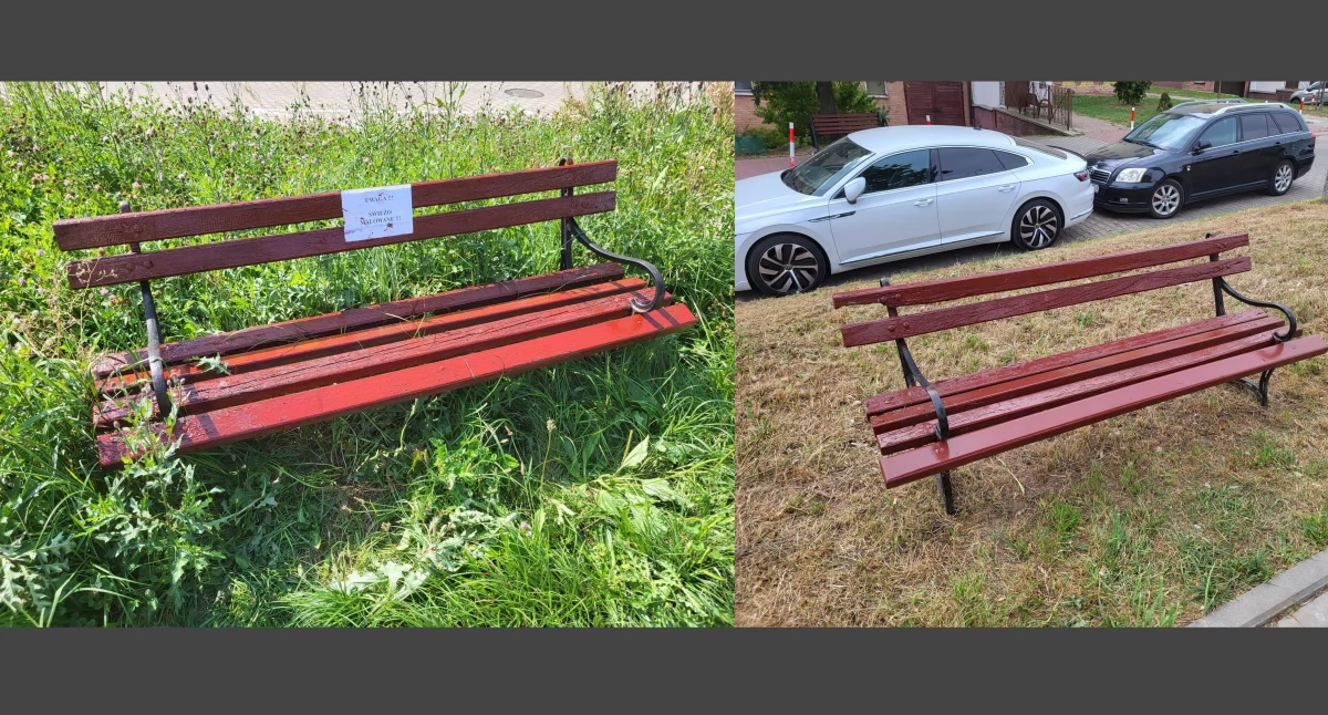 Malowanie ławek. Chwasty wyższe niż ławki w Starachowicach przy Alei św. Jana Pawła II