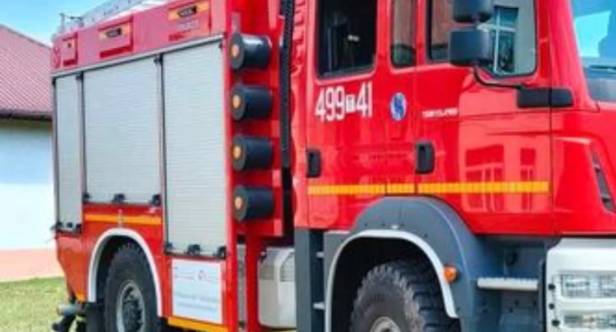 Pożar w kryneckim lesie, konieczna była interwencja strażaków