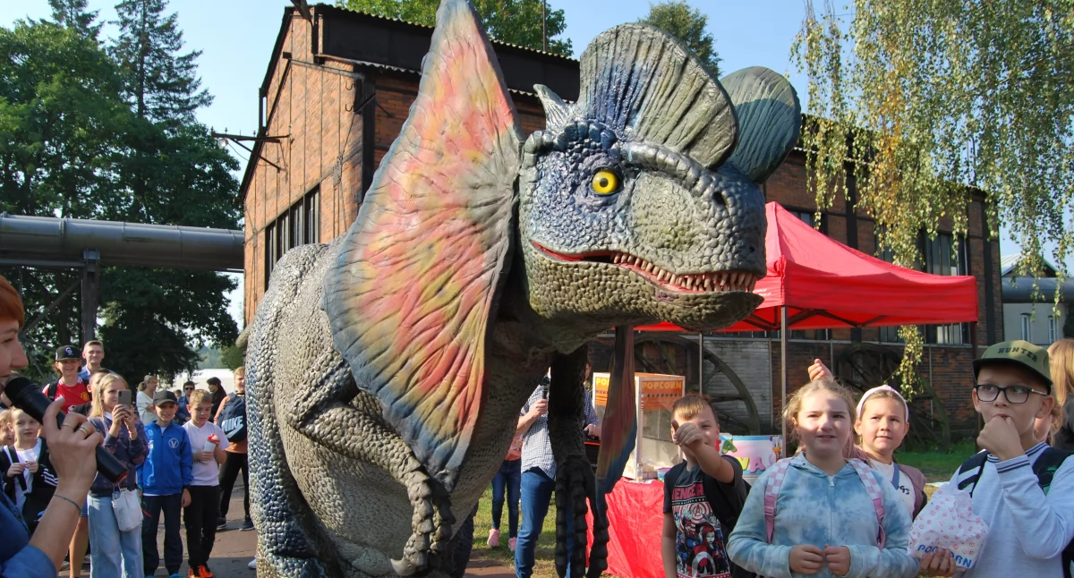 Festiwal Nauki w Muzeum - Diva robiła furorę