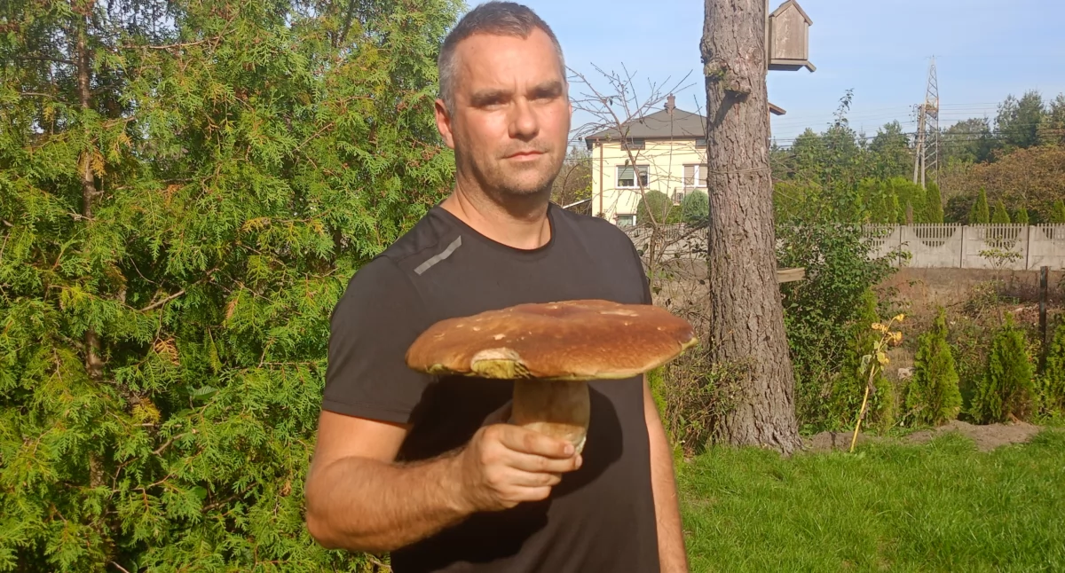Taaaaaki grzyb z lasu w Ratajach!