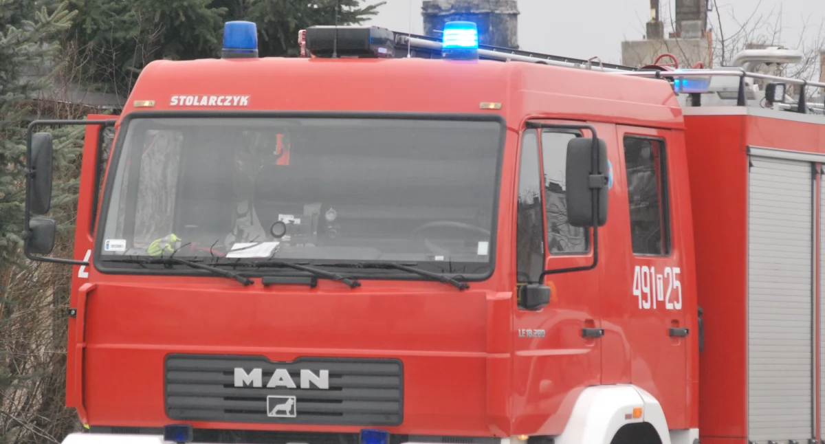 77-letni mężczyzna pogryziony przez osy. Pomogli starachowiccy strażacy
