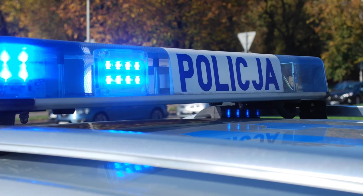 Wypadek w miejscowości Modrzewie. Samochód wjechał w dom