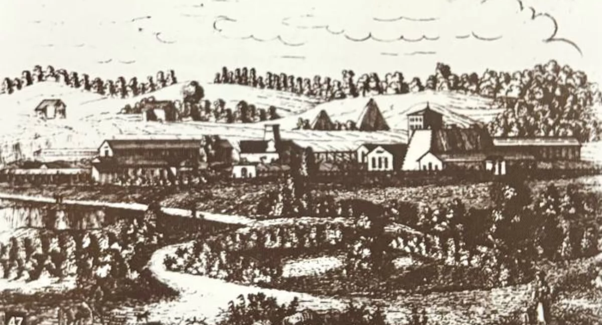  Miejskie historie okiem Anety Marciniak. Zajrzyjmy do portfeli