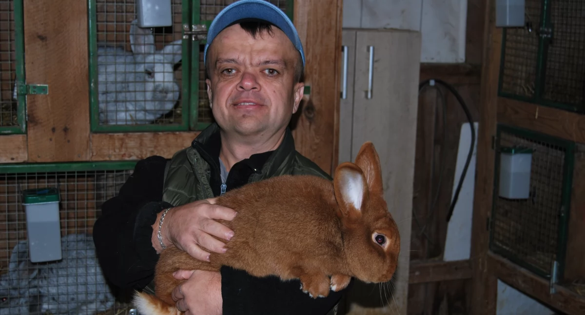 Mały człowiek o wielkim sercu. Hodowla królików rasowych to jego życie