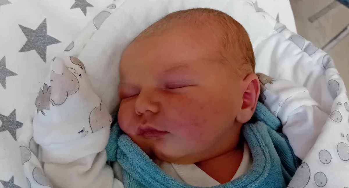 DAWID urodził się 11 LISTOPADA