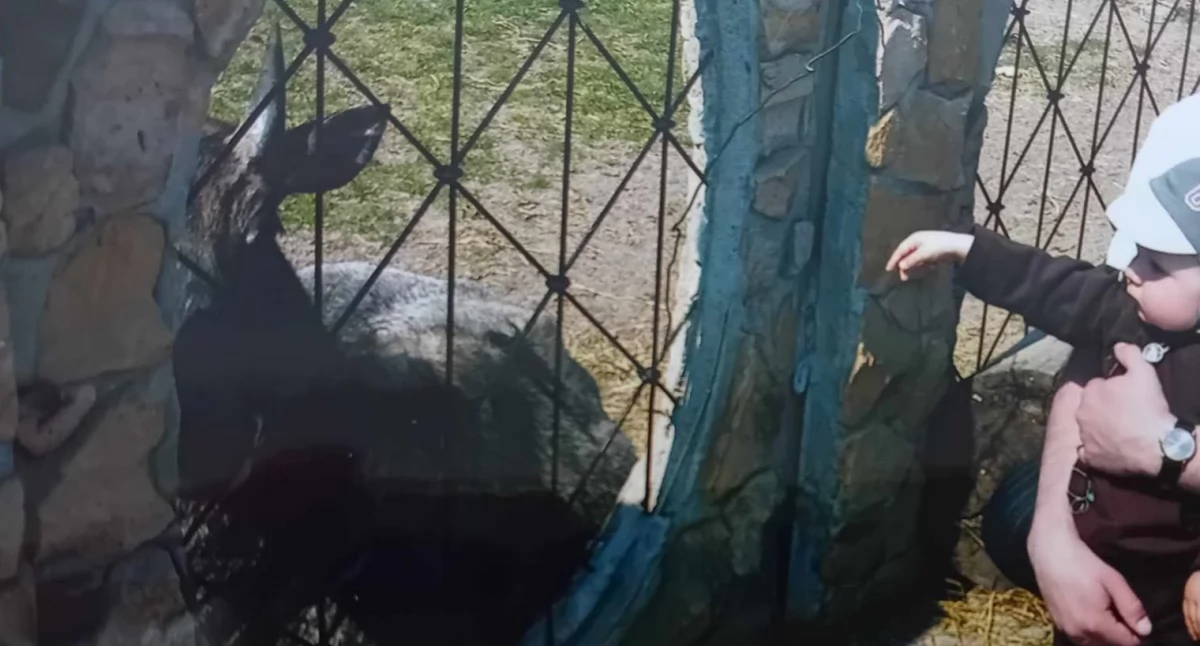 Zwierzęta z Kałkowa potrzebują opieki?