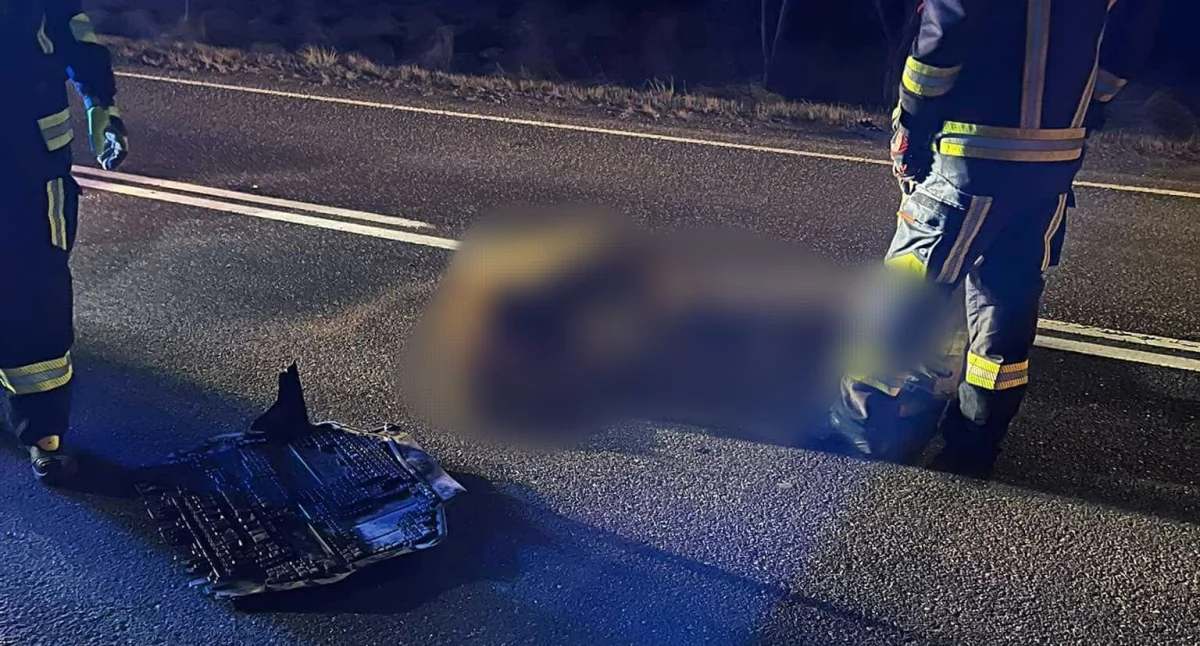 Wypadek w Parszowie. Sarna potrącona przez dwa samochody, kierowca trafił do szpitala