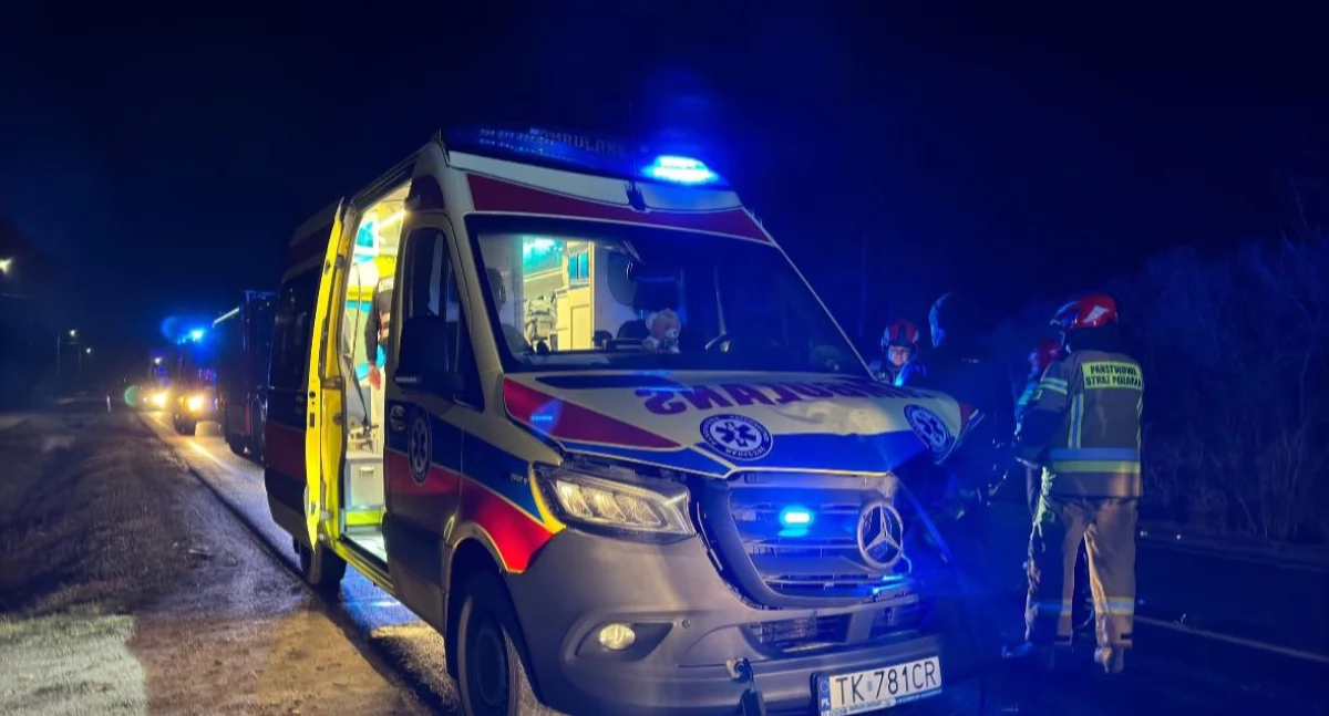 Zderzenie karetki z sarną w Parszowie. Dwie osoby w szpitalu