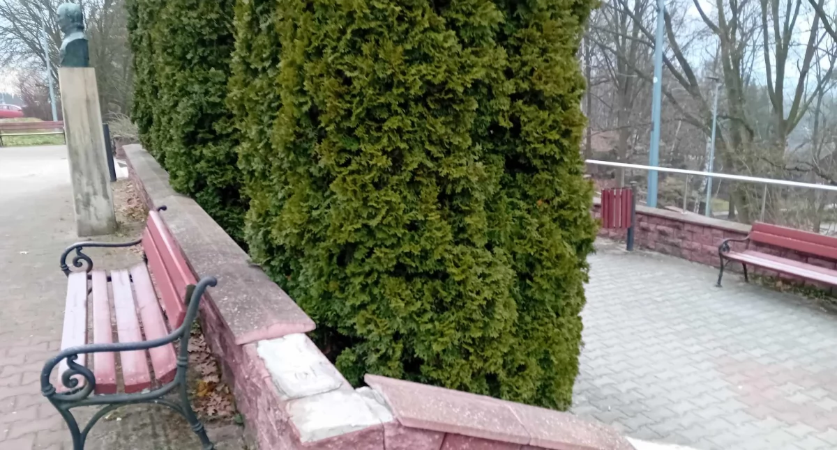 Gzymsy odpadają i sypią się na trawnik