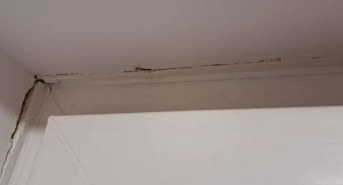 Mieszkania w bloku przy Kościelnej się sypią?