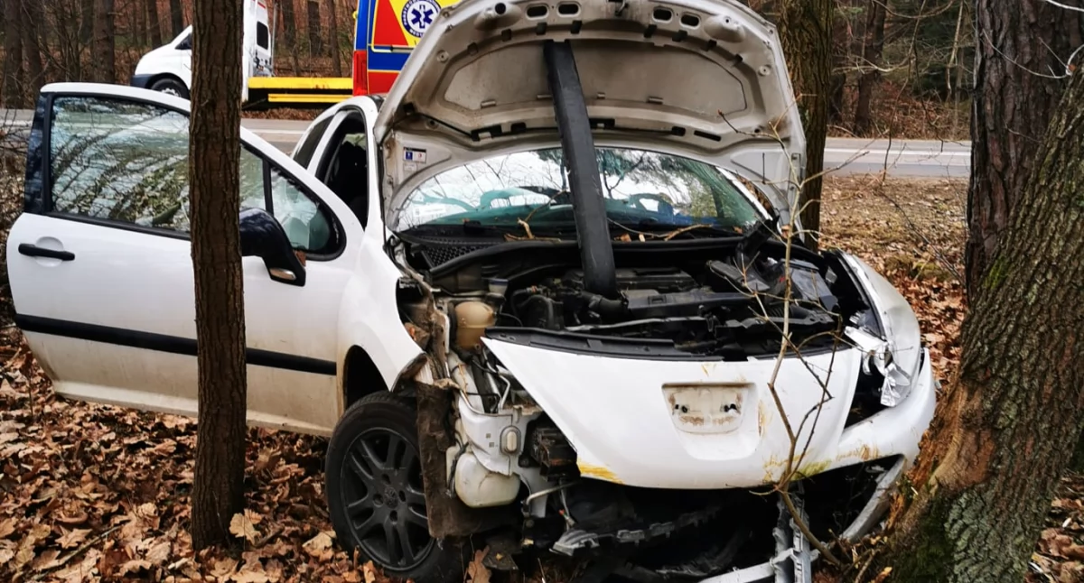 Wypadek w rzepińskim lesie. Kobieta i młody pasażer trafili do szpitala