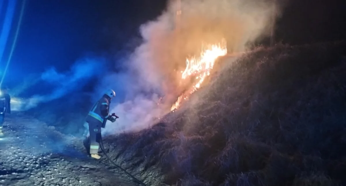 Po raz pierwszy w 2025 roku. Pożar traw w powiecie starachowickim