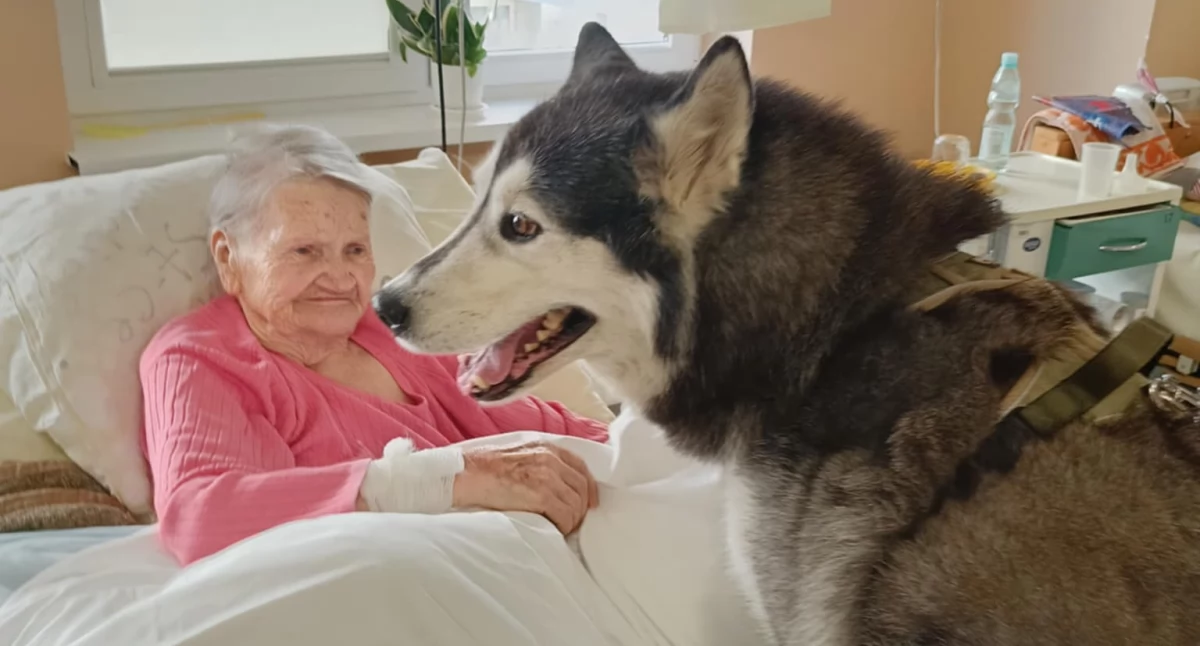 Dogoterapia w starachowickim ZOL-u